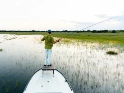 Cheap ⭐ Badfish Stono Short Sleeve Button Up ???? Shirt ???? -Googan Squad Shop unnamed file 17